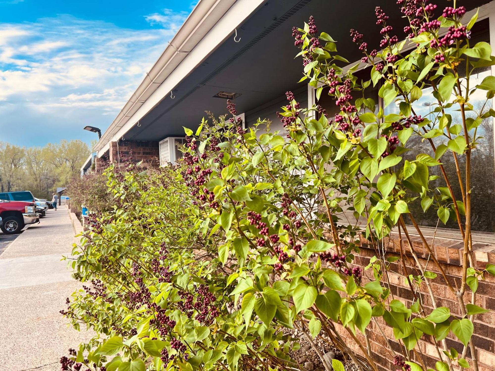 Travelodge By Wyndham Valleyfair Shakopee Exterior foto